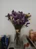 帕狄菱花瓶 水养插花防摔醒花鲜花简约亚克力透明摆件10*25cm 实拍图
