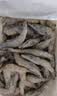 禧美海产鲜冻黑虎虾4斤 大规格21-25只/kg 超大单冻大虾 海鲜礼盒 实拍图