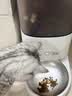 霍曼（Homerun）Real智能自动喂食器 猫粮狗粮远程控制定时定量PF21（双频版） 实拍图