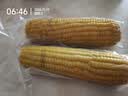 京鲜生东北黄糯玉米300g*8棒 甜黏玉米低脂早餐代餐粗粮真空装 源头直发 实拍图