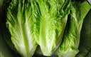 【烧烤季】钟灵山罗马生菜400g 实拍图