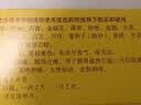 北京同仁堂京制牛黄解毒片0.6g*8片*10瓶清热解毒 散风止痛 口鼻生疮 大便秘结 风火牙痛 实拍图