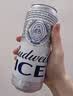 百威冰啤酒500ml*18罐整箱装【99%好评】京东自营国庆出行 实拍图