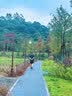 西麦空气全麦脆1200g燕麦片冷泡零食早餐代餐低脂高纤高蛋白质独立装 实拍图