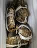 【活蟹】湖中秋色全母大闸蟹螃蟹4.5-4.8两8只鲜活现货去绳足重生鲜礼盒 实拍图