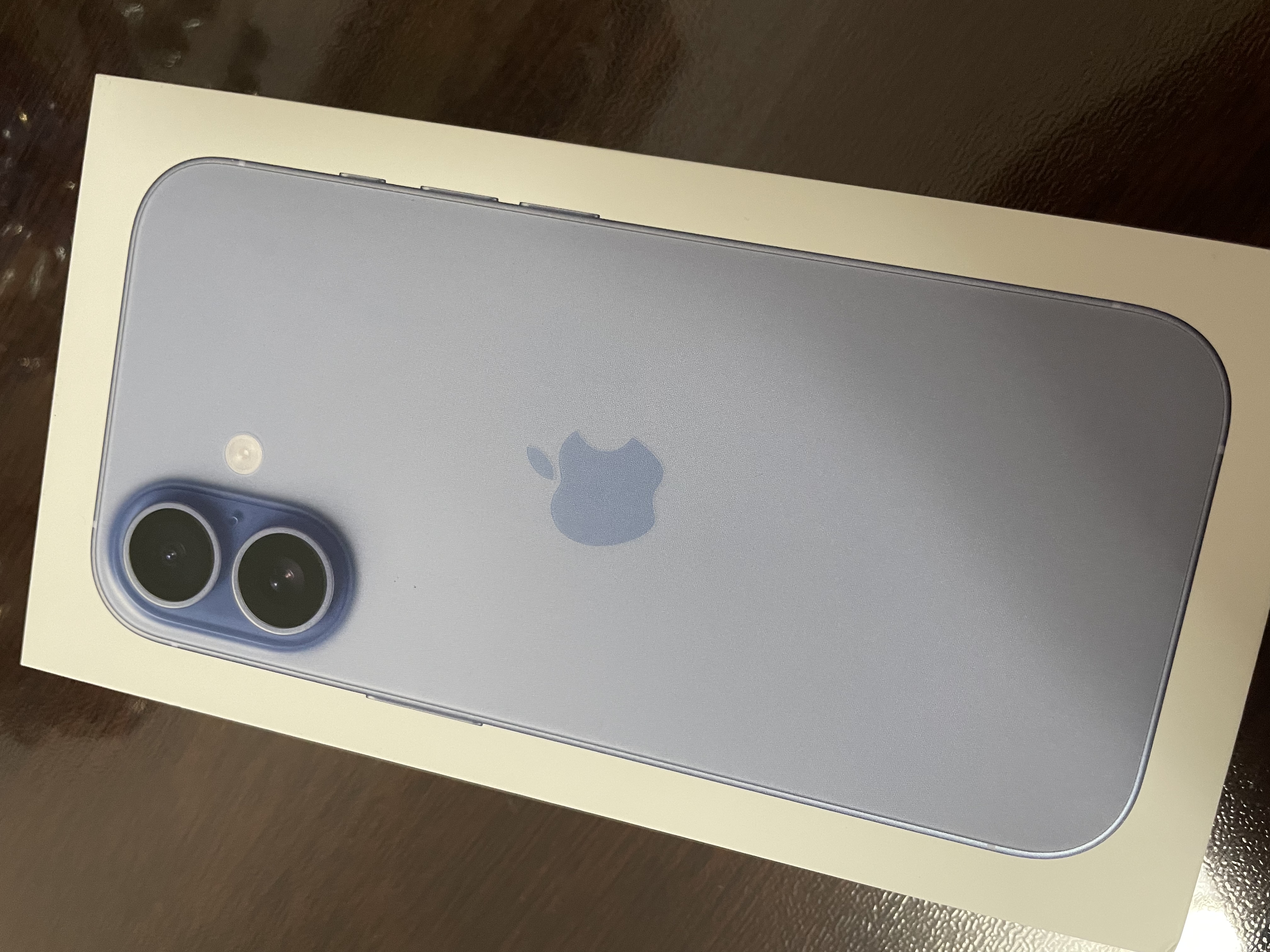 Apple/苹果/苹果 iPhone 17 512GB 青雾蓝色 支持移动联通电信5G 双卡双待手机 实拍图