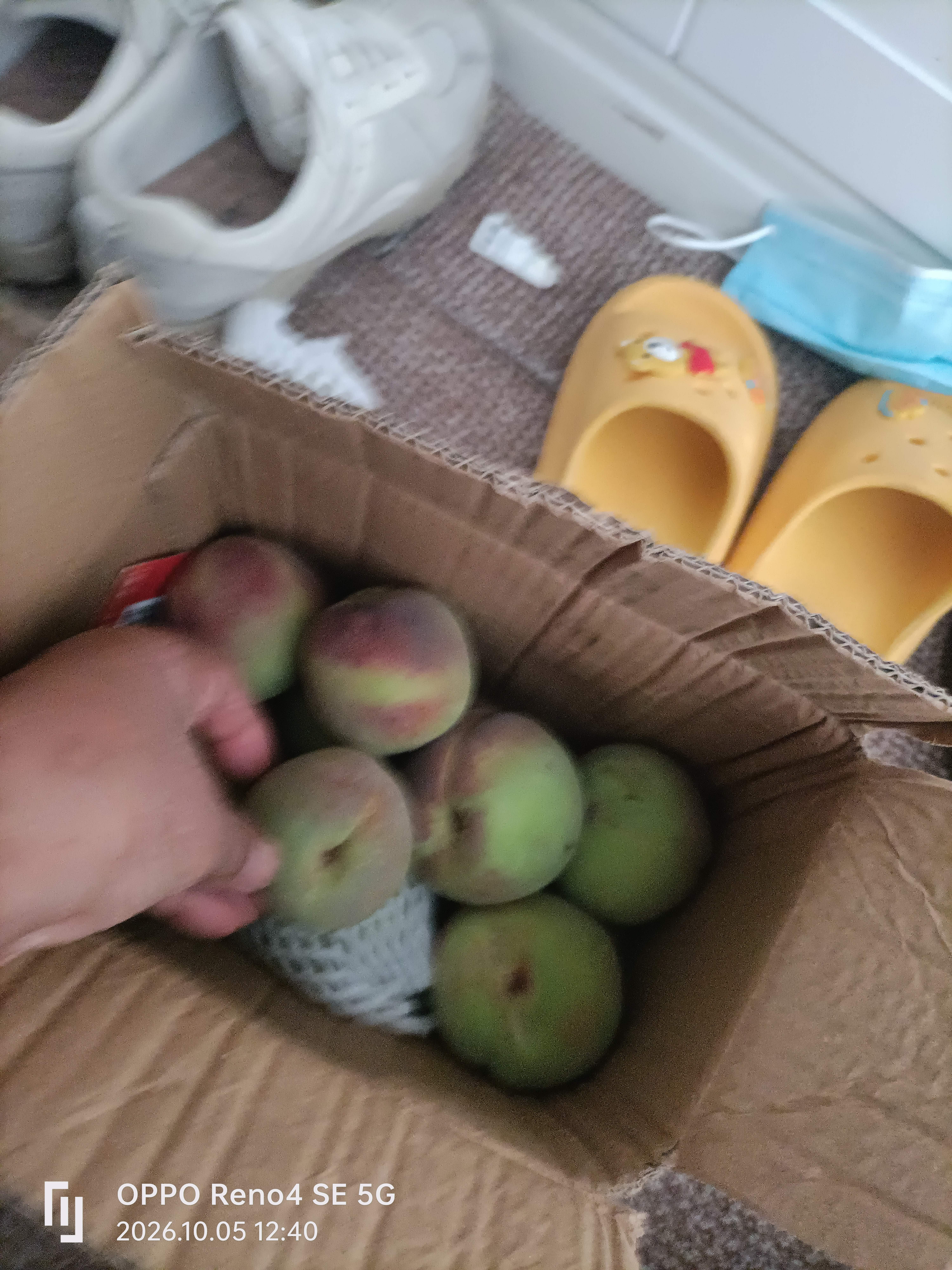 京喜加【老式水蜜桃】软硬两吃青州蜜桃应季现摘水果桃子整箱生鲜 带箱3斤特大果 净重2.6斤 实拍图