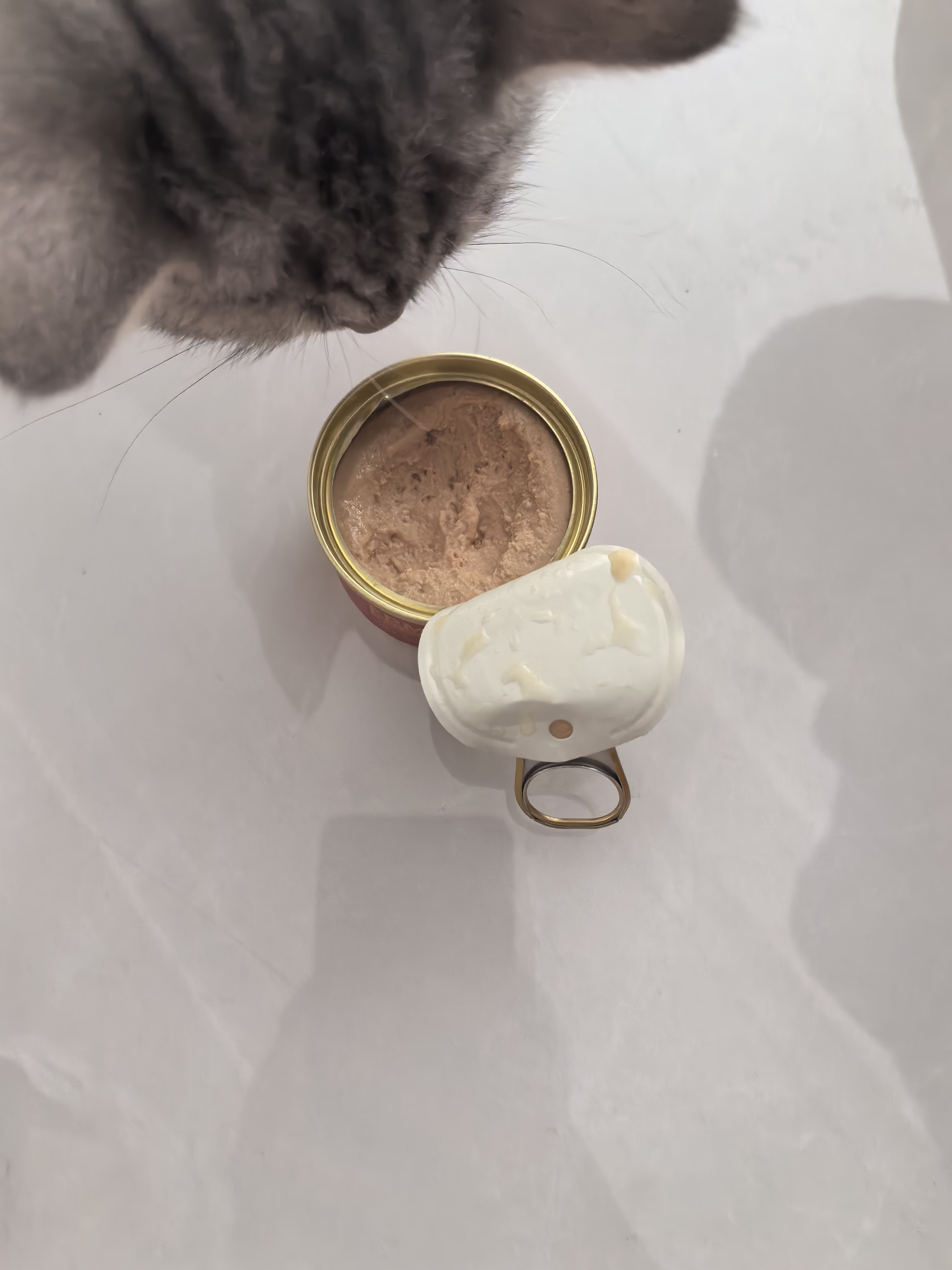 弗列加特98%高含肉量 FPMR生骨肉猫主食罐 幼猫湿粮猫罐头45g 实拍图