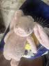 Jellycat害羞乳白色邦尼兔动物毛绒玩偶安抚玩偶娃娃送礼生日新婚礼物 害羞胭脂粉色邦尼兔 Medium 实拍图