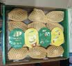 佳沛（zespri）新西兰金奇异果12粒特大果124-146g猕猴桃水果礼盒 实拍图