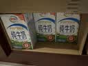 伊利【新鲜日期】纯牛奶250ml*24盒 3.3g优质乳蛋白早餐奶7-10月 实拍图