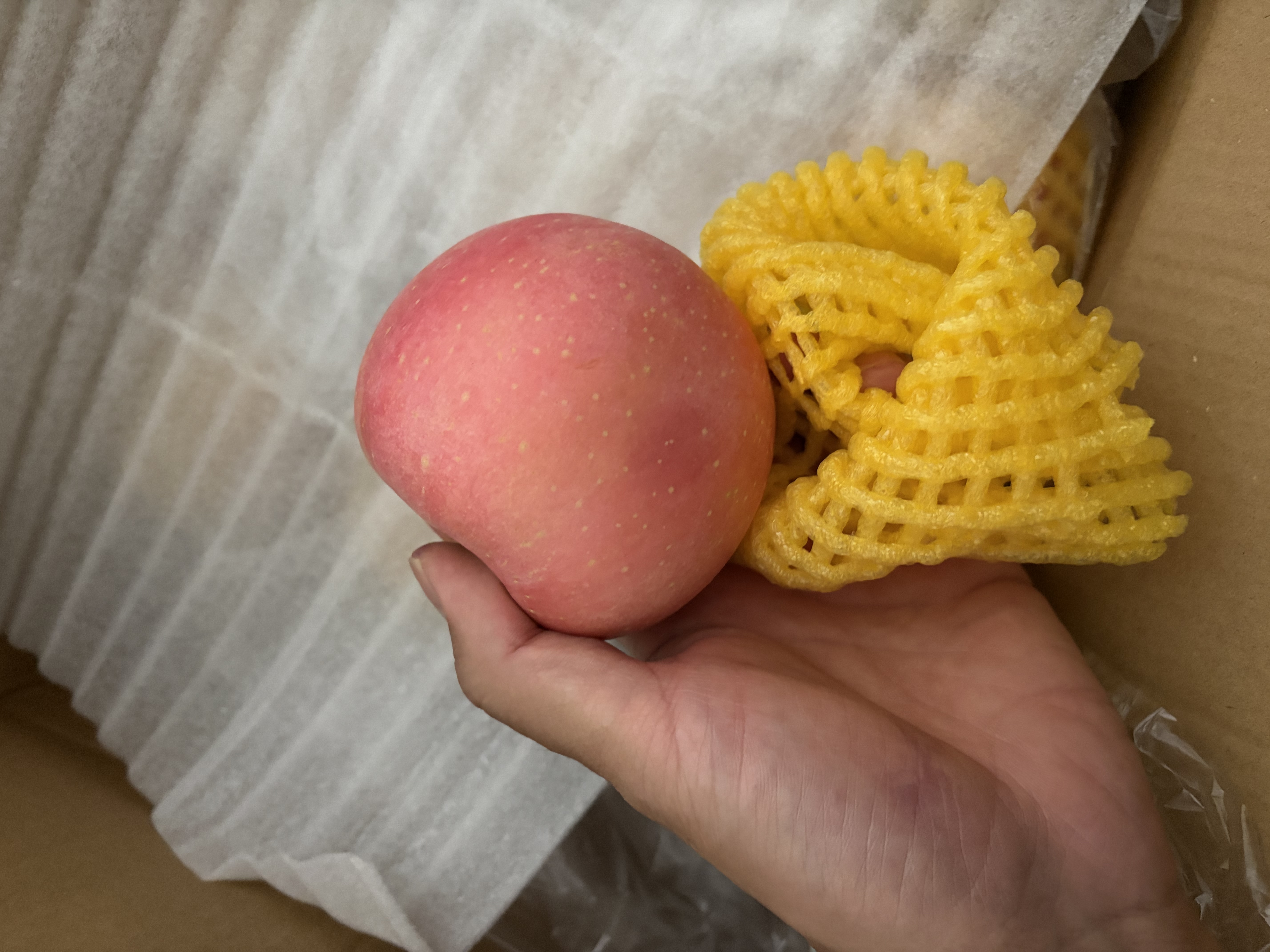 佳农烟台红富士苹果 净重4.8斤 单果重约200g+ 生鲜水果礼盒 源头直发 实拍图