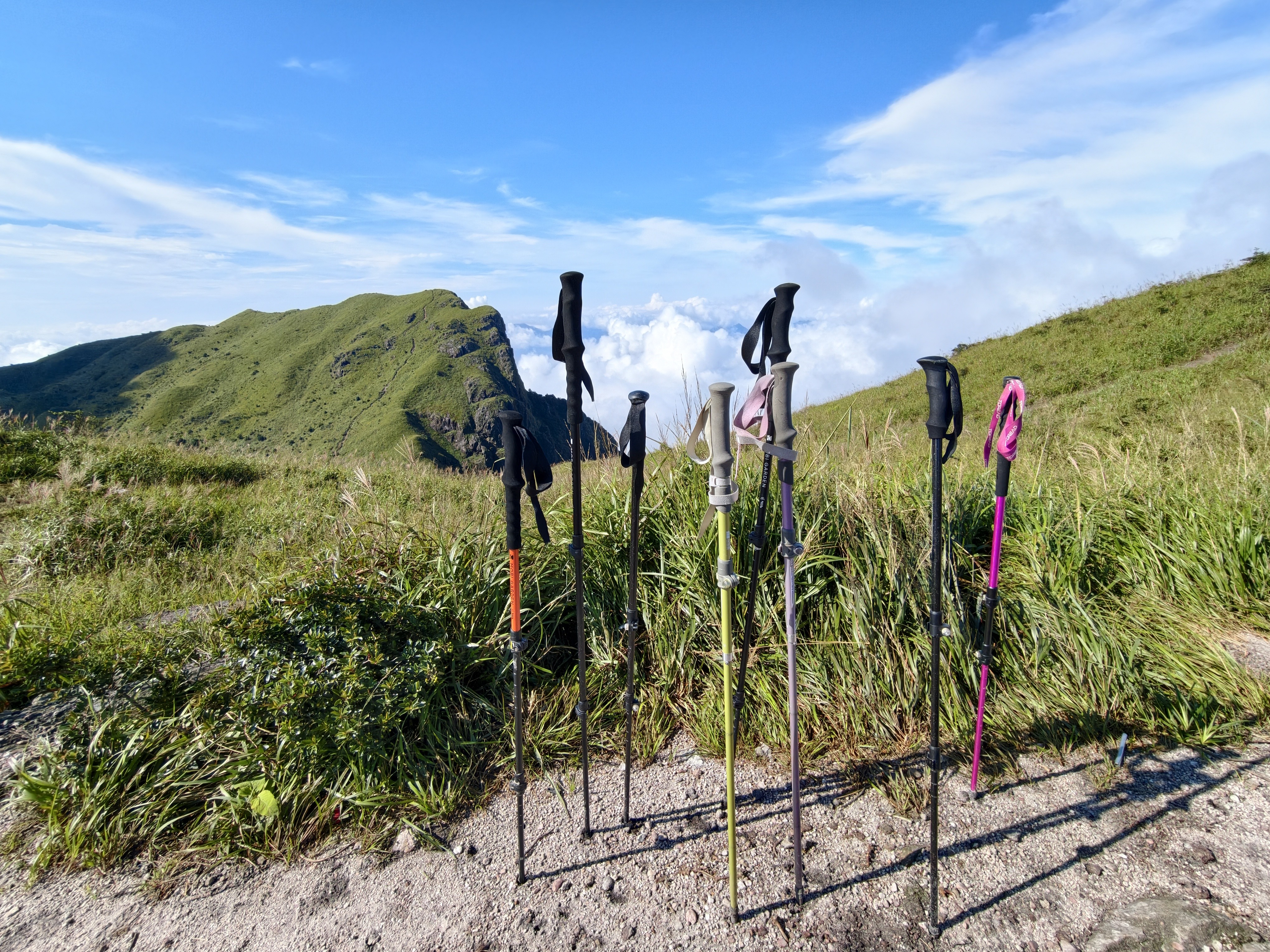 探路者（TOREAD）喀纳登山杖碳纤维伸缩手杖户外徒步超轻便携爬山装备拐杖 树莓粉 实拍图