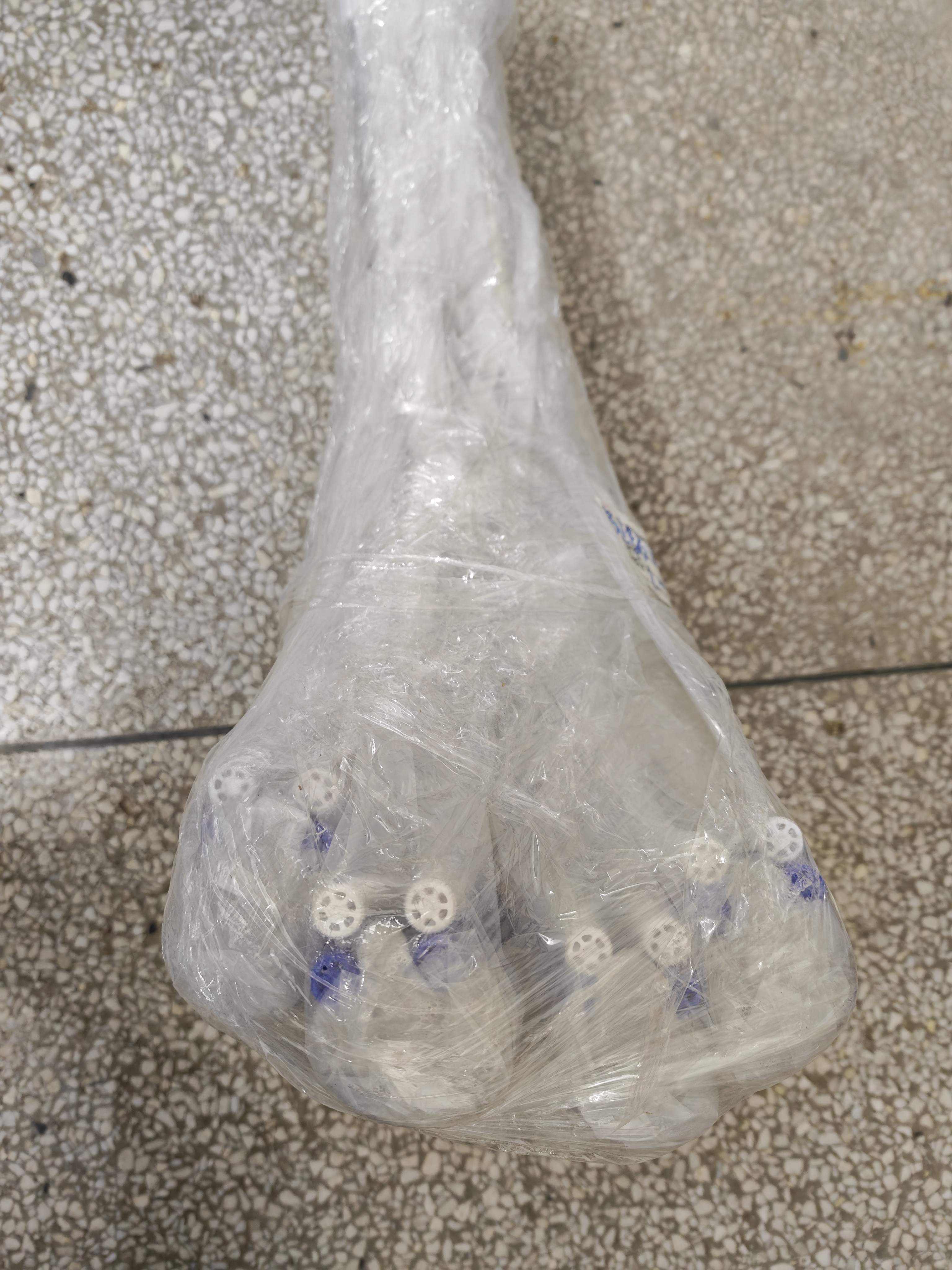 五月花海绵拖把38cm1棉头拖把家用一拖净2026新款吸水拖把神器拖布 实拍图