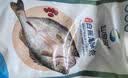 仙泉湖三去白蕉海鲈鱼400g/条净膛冷冻刺少肉厚特产海鲜水产生鲜食材 实拍图