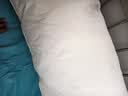 拉芙菲尔护颈椎助睡眠枕头 抗菌可水洗枕芯 枕头成人高弹枕芯一对拍2 实拍图