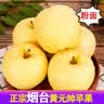 甜醉了 烟台苹果黄元帅粉面苹果黄金帅黄香蕉山东新鲜水果当季整箱鲜果 净重3斤70-80mm 实拍图