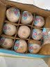 佳农泰国进口椰青9粒装 单果900g+ 赠开椰器吸管 生鲜水果送礼 包邮 实拍图