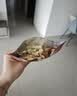 百草味低GI每日纯坚果700g无添加休闲零食独立包装团购礼品送长辈 实拍图
