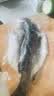 海名威 冷冻三去海鲈鱼880g/2条 (配料包) 深海鱼 生鲜鱼类 海鲜水产 实拍图