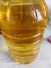 福临门食用油非转基因压榨一级黄金玉米胚芽油4L(富含植物甾醇)家庭 实拍图