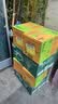 Perrier巴黎水气泡水 原味330ml*24玻璃瓶 原装进口高端天然矿泉水饮用水 实拍图