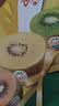 佳沛（zespri）新西兰金奇异果10粒巨大果146-175g猕猴桃水果礼盒 实拍图