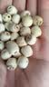 方家铺子莲子400g湘潭磨皮通芯大号白莲子去芯桂圆枸杞百合银耳羹粽子食材 实拍图