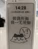 BIGMEHibreak pro 高配墨水屏阅读器 显示器电纸书阅读平板电脑 护眼墨水屏手机电子书8+256GB 实拍图