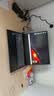 神舟20206款战神S8 S9 Z8旗舰AIPC 酷睿i5/i7/i9H 满性能RTX5060/3050/4060/4070电竞游戏笔记本电脑 S8 i5 RTX4060 16G+512G【热销2W+ 实拍图