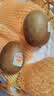 佳沛（zespri）新西兰金奇异果猕猴桃 5粒装 单果约88-103g 水果源头直发 实拍图