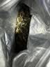 天洲溪福鼎白茶 白牡丹 花香500克 老白茶叶礼盒装高端送礼物老丈人领导 实拍图