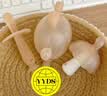 马博士婴儿牙胶磨牙胶棒小蘑菇宝宝安抚玩具防吃神器手牙咬胶3件套 实拍图