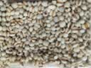 李小谷有机小粒薏米薏仁米450克罐装(东北红豆赤豆搭档薏米薏苡仁) 实拍图