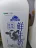 蒙牛（MENGNIU）现代牧场鲜牛奶1500ml巴氏杀菌桶装鲜牛奶 实拍图