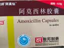 [阿莫仙] 阿莫西林胶囊0.5g*48粒/盒 实拍图