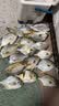 川泽鼎尖江湖子线双钩钓鲫鱼鲤鱼钩伊豆有刺【钩7线2.0+钩8线2.5】 实拍图