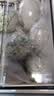 神丹溏心松花皮蛋  凉拌即食下酒菜无铅工艺 52g*18枚 中秋节礼品 实拍图