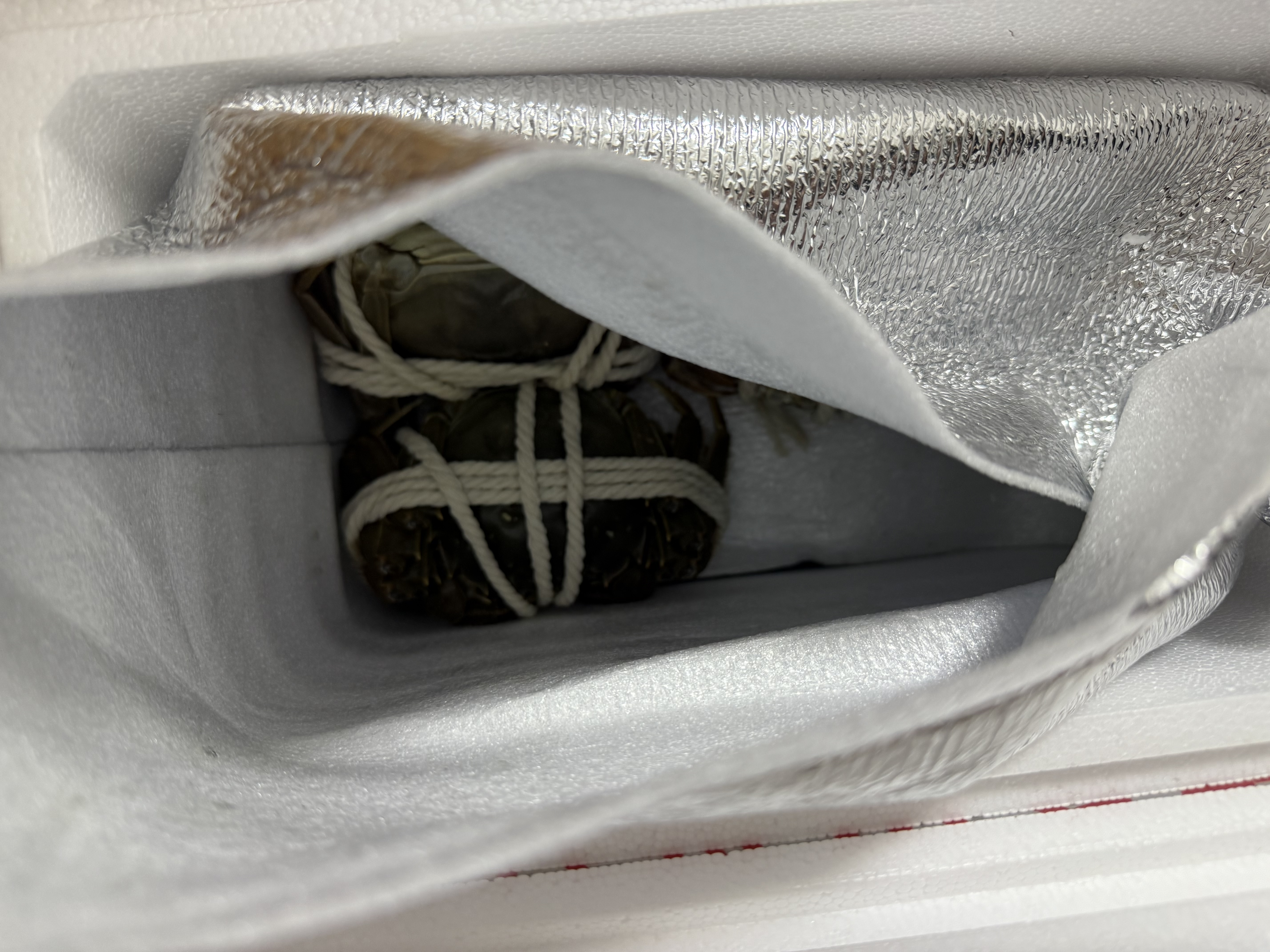 【活蟹】漁家师傅大闸蟹公4.5-4.8两母3.5-3.8两4对8只 鲜活螃蟹现货生鲜礼盒 中秋送礼 实拍图