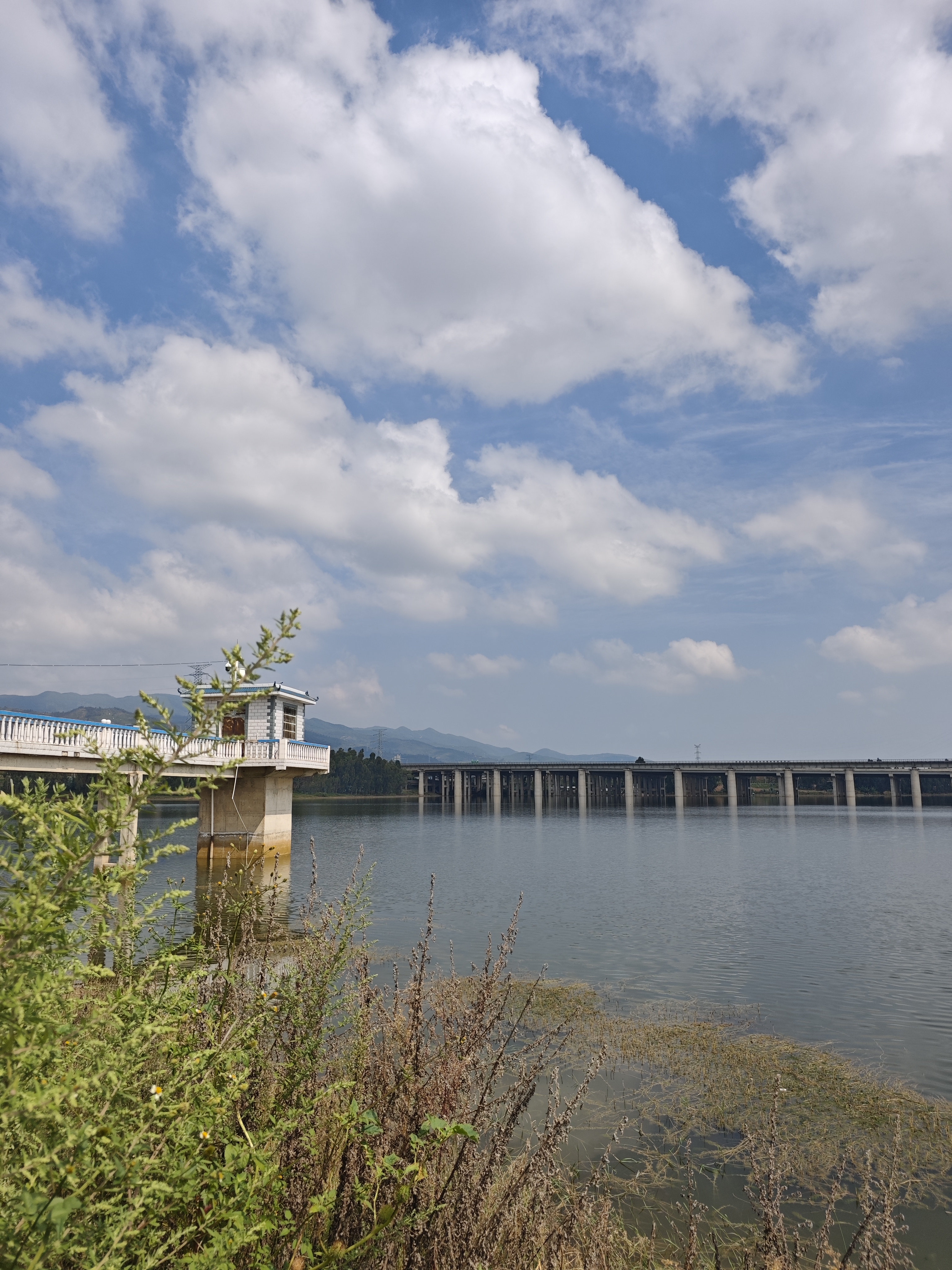 汉鼎配件22线组鱼钩浮漂鱼漂子线双钩主线子线线钩漂新手套装 4.5米 实拍图