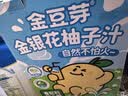 金豆芽金银花柚子汁儿童饮品户外便携小孩果汁饮料送礼礼盒100ml*22袋 实拍图