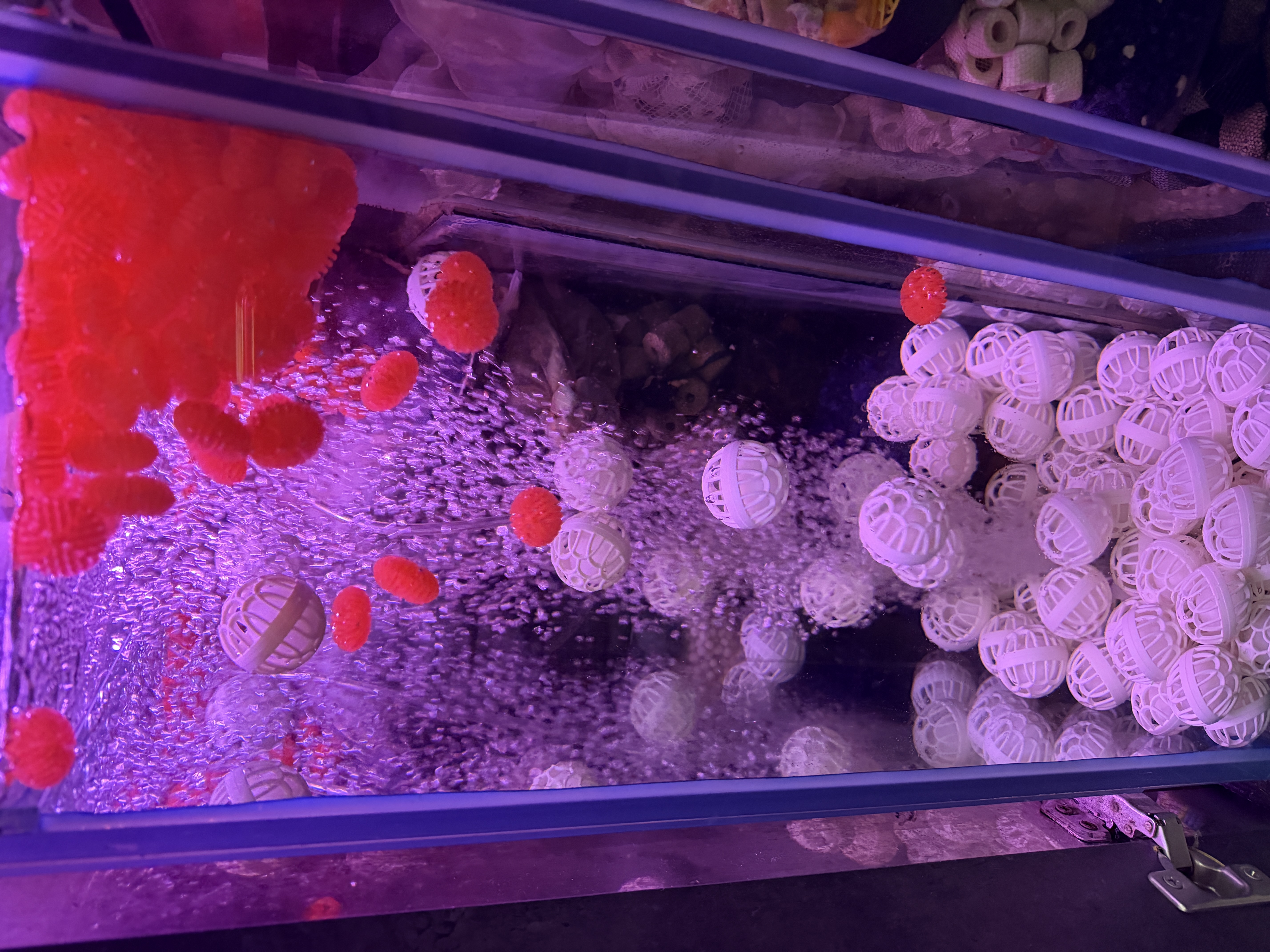 森森鱼缸氧气泵增氧机家用养鱼打氧机养鱼小型YQT-120 8W 裸泵 实拍图