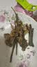 GUO LIAN国联水产三去罗非鱼4条共2.8斤净重非洲鲫鱼生鲜源头直发 实拍图