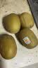 佳沛（zespri）金奇异果25-27粒原箱特大果124-146g猕猴桃水果礼盒 实拍图