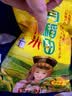 十月稻田 赤峰小米 1kg 内蒙古敖汉旗 黄小米杂粮 小米黄小米 实拍图
