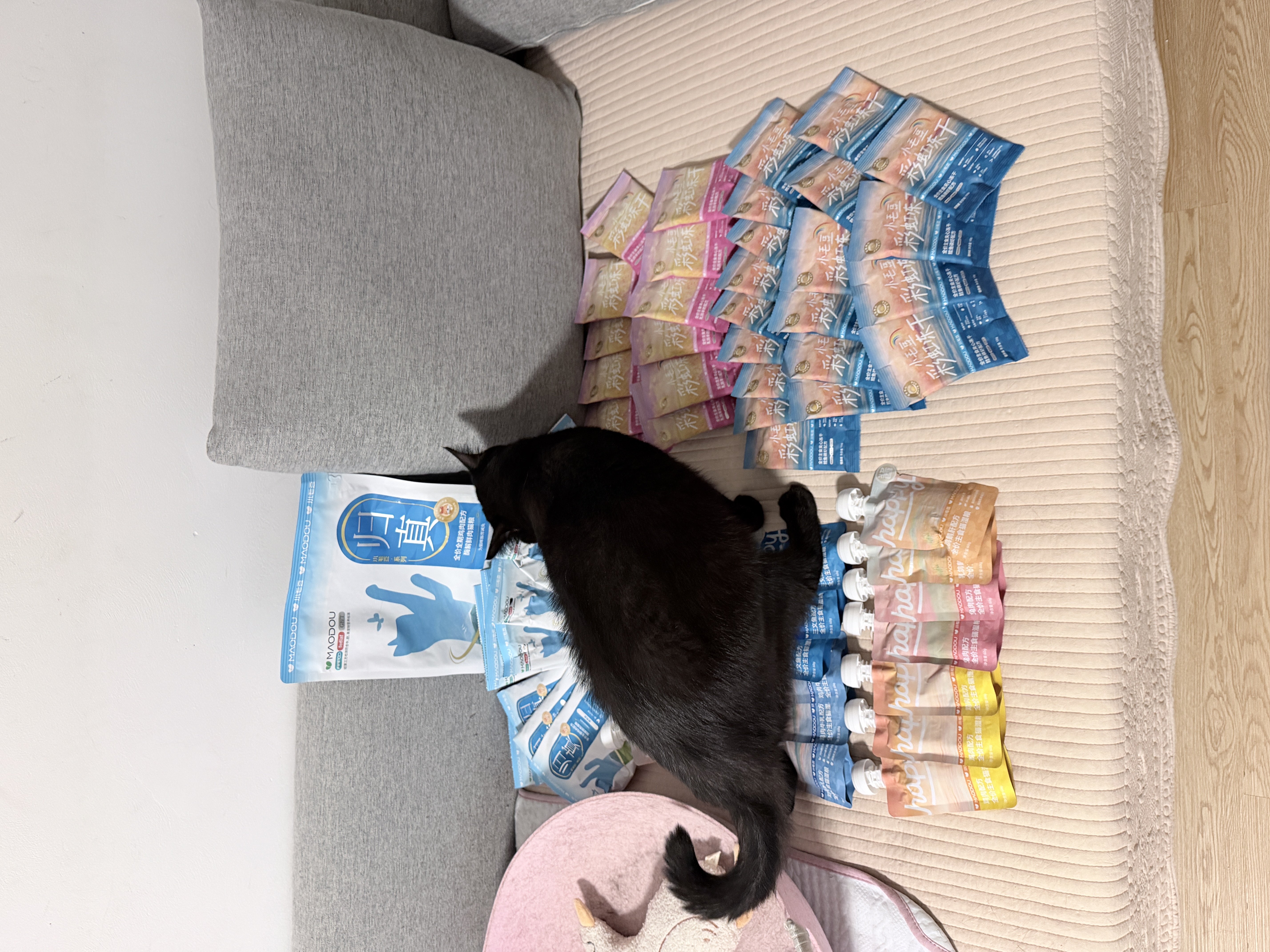 小毛豆猫粮 归真猫粮 全阶段成猫幼猫酶解鲜鸡肉幼猫猫粮福贝猫粮 【店铺爆款】归真猫粮3斤+送1斤试吃 实拍图