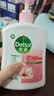 滴露（Dettol）洗手液抑菌消毒滋润500g+500g 补充装 儿童家庭护手替换装 实拍图