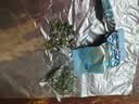 八马茶业安溪铁观音 清香型一级500g 罐装茶叶 非遗技艺 自己喝 乌龙茶 实拍图