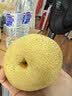 京鲜生 精选砀山梨老树酥梨 10斤装 单果250g+ 新鲜水果 实拍图