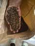 赤川荞麦壳散装 做枕头荞麦皮 荞麦枕头护颈椎枕头年货 甜荞麦壳4斤 实拍图